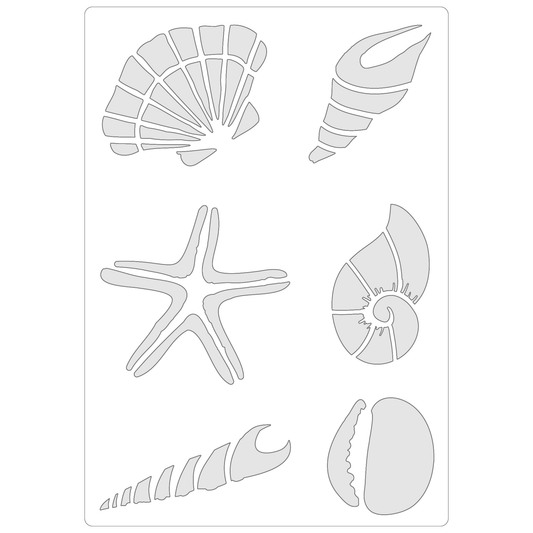 Realistic Seashell Selection | Food Safe Stencil