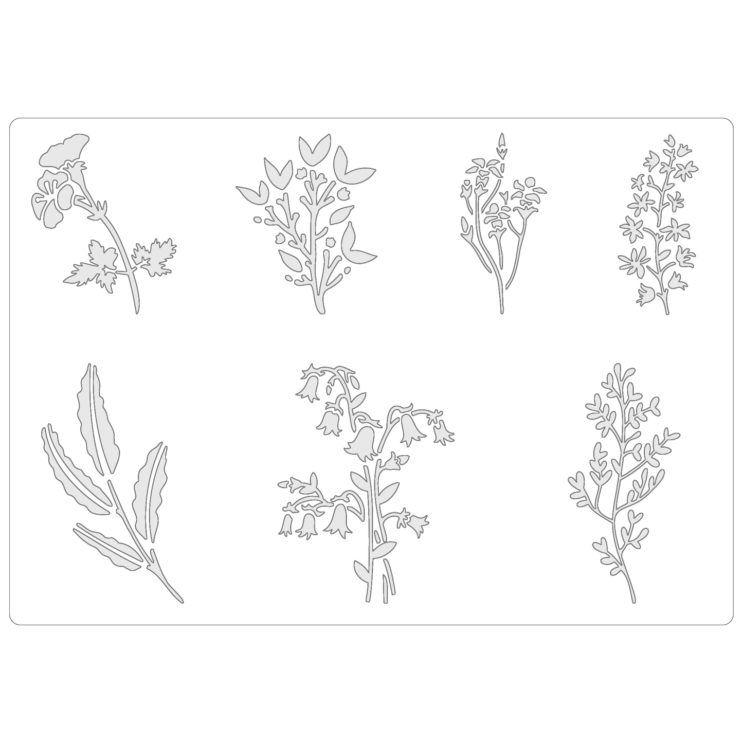 Wildflower Collection #3 | Food Safe Stencil